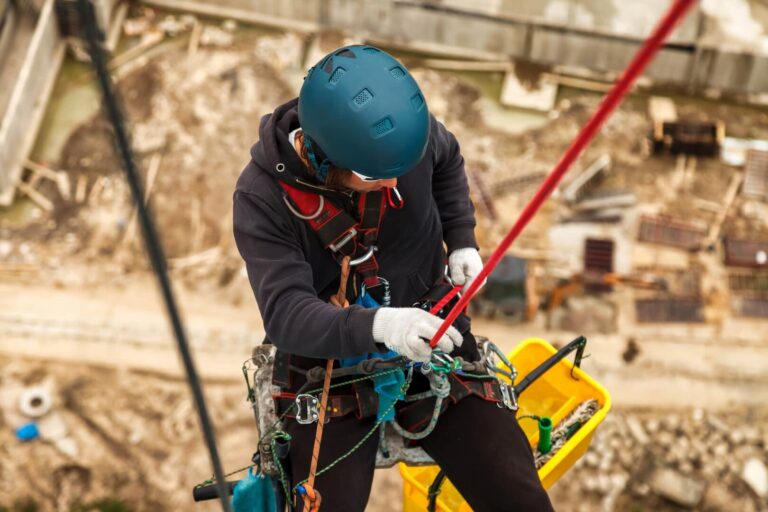 que son lineas de vida